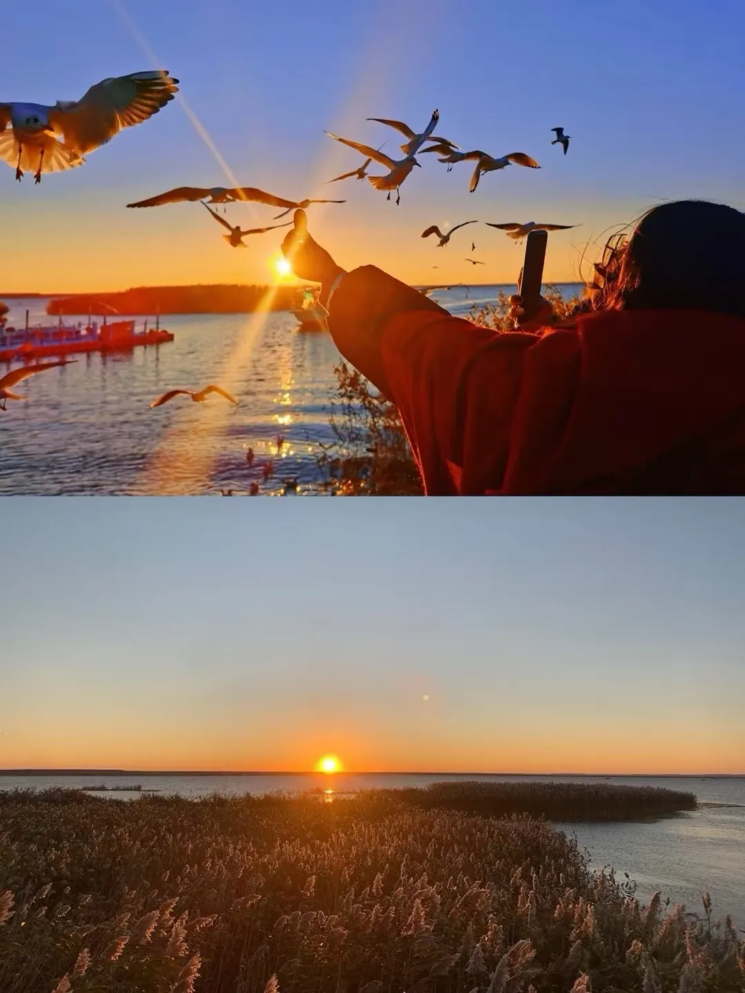 ca6915e22e1998fe58b7066dd6dd4aaf-sz_495218-1 ca6915e22e1998fe58b7066dd6dd4aaf-sz_495218-1