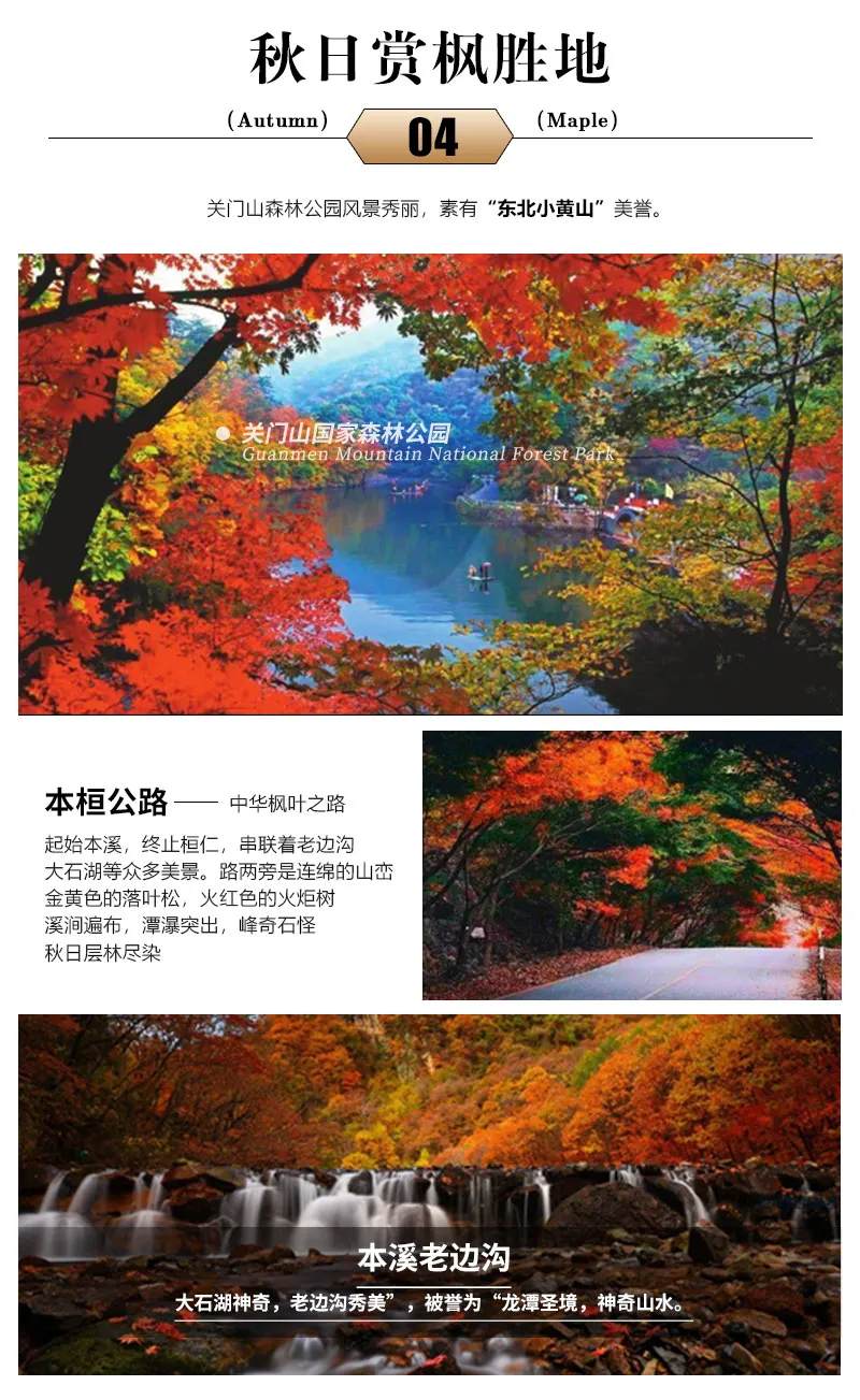 cc8634e7109d82813df7ffc59307f32d-sz_284544-1