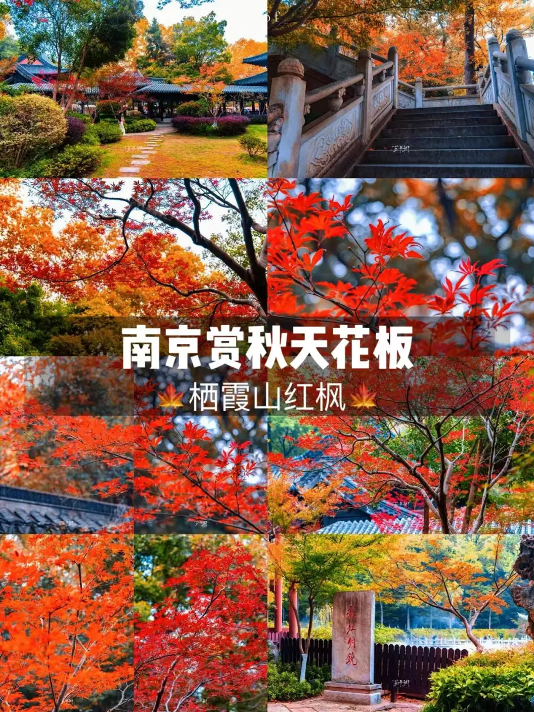 cd3d884b8dfa732b119a9e1bcc5399e0-sz_555166