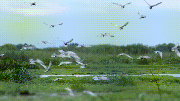 ce3595a86503cbf0821ef2b5e12b55a8-sz_1762085-1