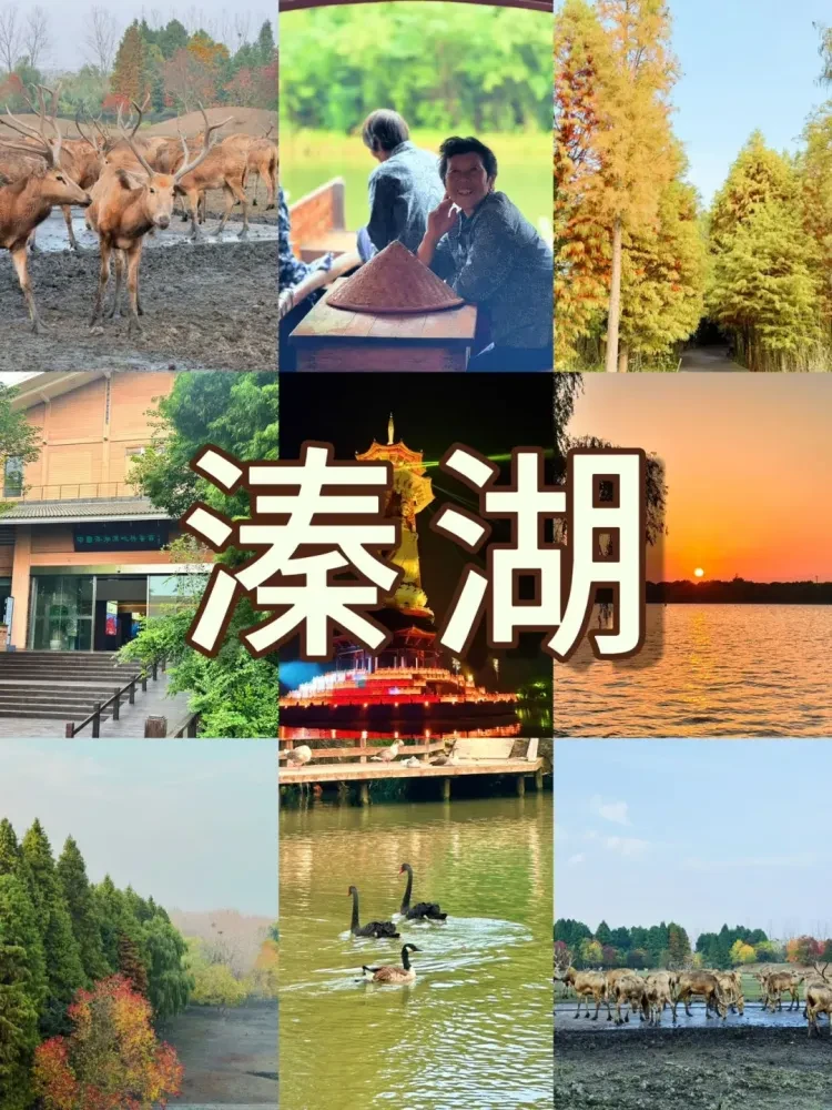 ce5c5aa841d6141b902ca586a17bc8d1-sz_3287286 ce5c5aa841d6141b902ca586a17bc8d1-sz_3287286