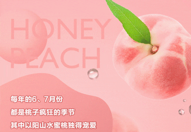 cef93849d4c92e031695730dcfb1585b-sz_204548