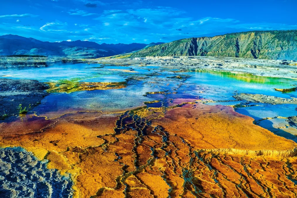 d01385a2649647797a66a5397e303447-sz_1811072