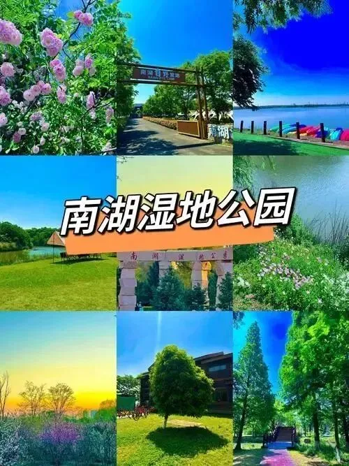 【嘉兴丽顿酒店金秋钜惠】399元纯玩3日游！2自助早5正升级餐！特别福利/性价优选/餐餐美味！跟车游打卡地标/欣赏古城秋韵，免费赠送棋牌&KTV！