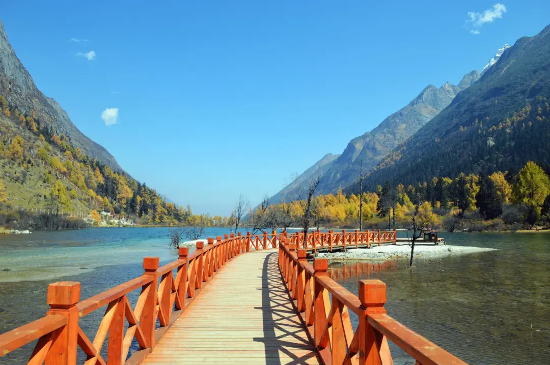 d33708e2c5789117a94742c93d8edc88-sz_347963 d33708e2c5789117a94742c93d8edc88-sz_347963