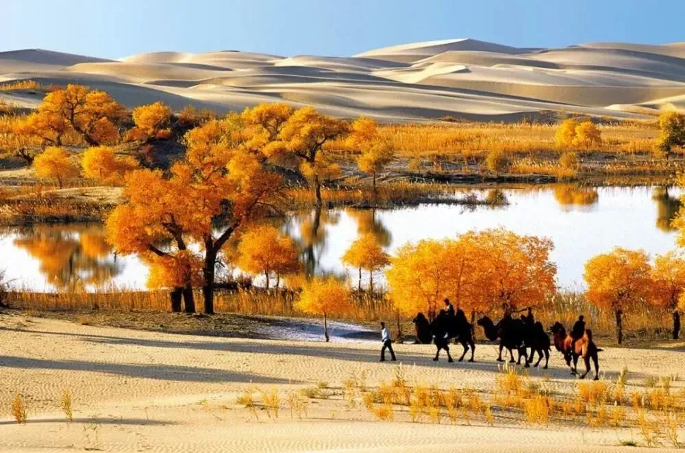 d4f7d1086a22440906e1979d1e17ce6b-sz_1609616-3 d4f7d1086a22440906e1979d1e17ce6b-sz_1609616-3