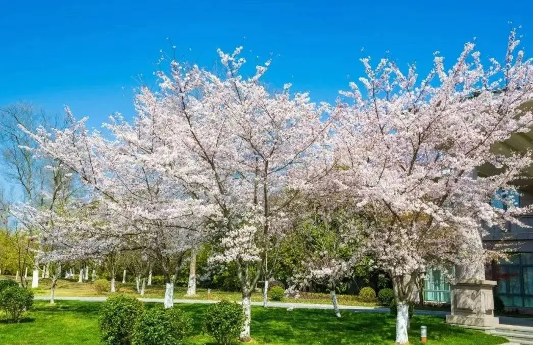 d545b4c46652cd2e2053a632ea142361-sz_198704