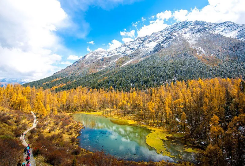 d98a5f0aeb92624c77aa3f8b5a34a0a7-sz_181311 d98a5f0aeb92624c77aa3f8b5a34a0a7-sz_181311