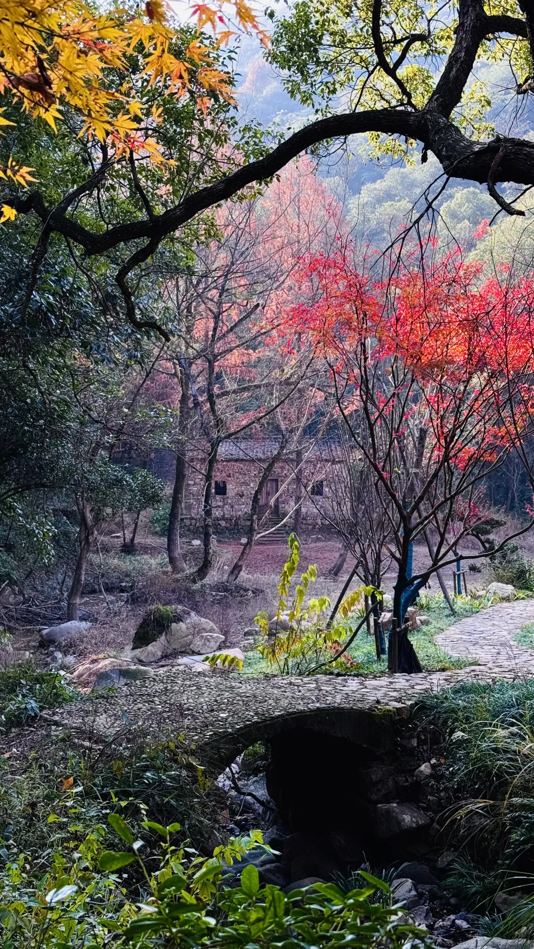 d9d741c82bdb1a071b74562b60e006c7-sz_5735087-4 d9d741c82bdb1a071b74562b60e006c7-sz_5735087-4