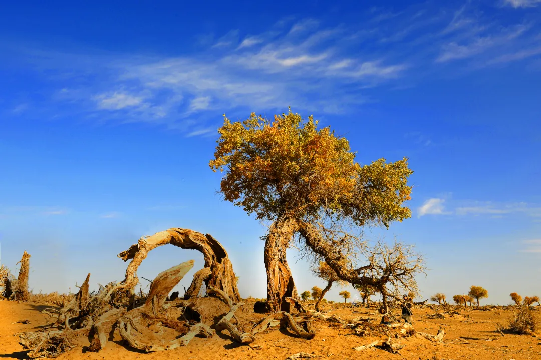 da3bff5fc84285c9c5eb4d8c2829fe2d-sz_2551700-1 da3bff5fc84285c9c5eb4d8c2829fe2d-sz_2551700-1