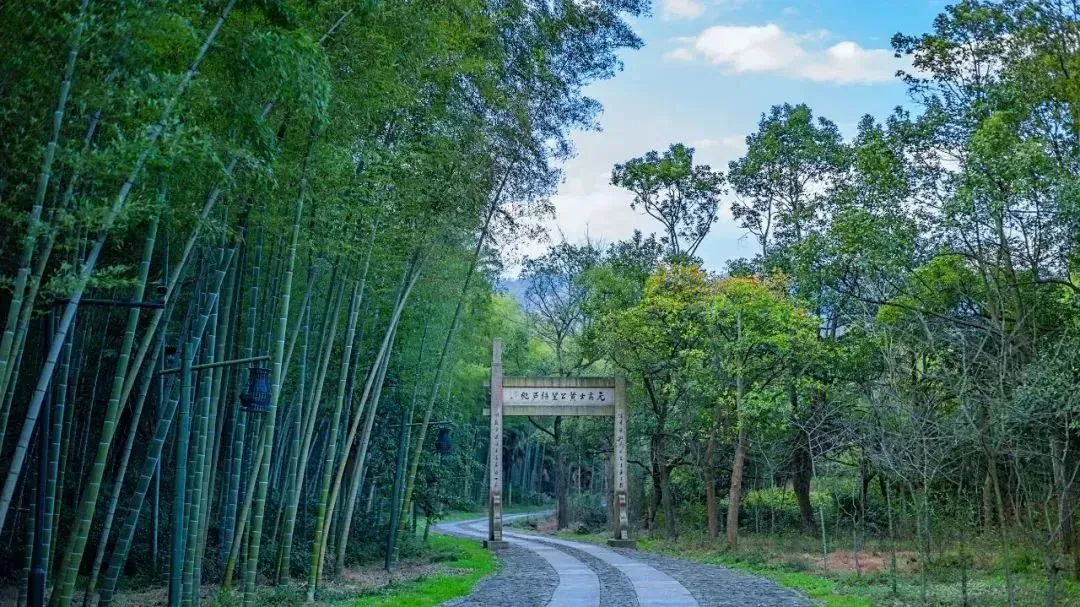 dd3b47860fbc28ebf916284a29e9869d-sz_200314-3 dd3b47860fbc28ebf916284a29e9869d-sz_200314-3