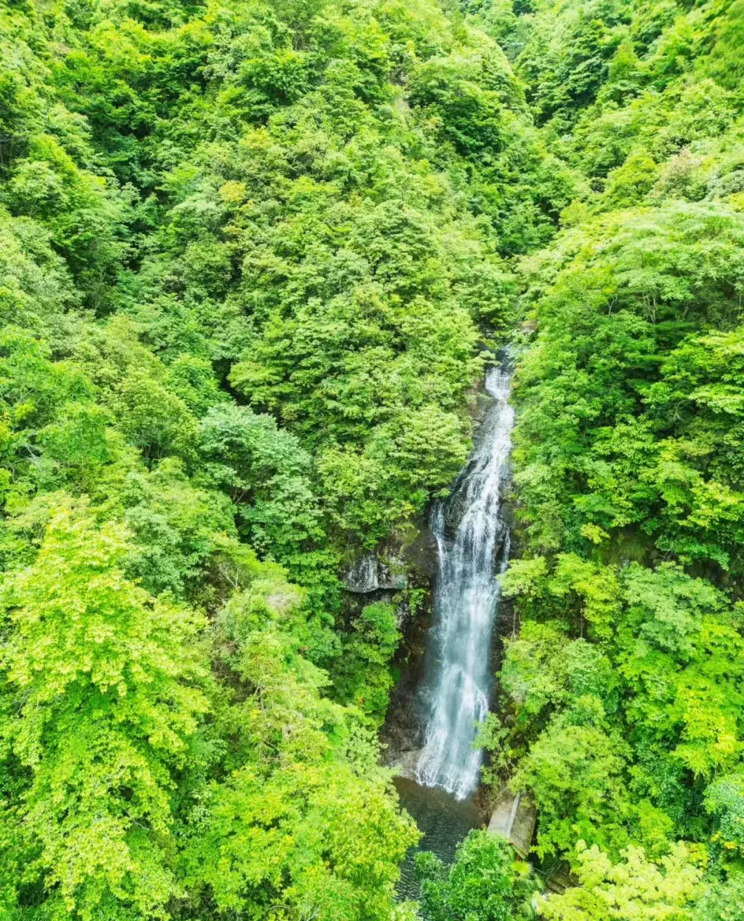 e7aae29cfef06a4cc7d384e3ebe7262a-sz_689808 e7aae29cfef06a4cc7d384e3ebe7262a-sz_689808