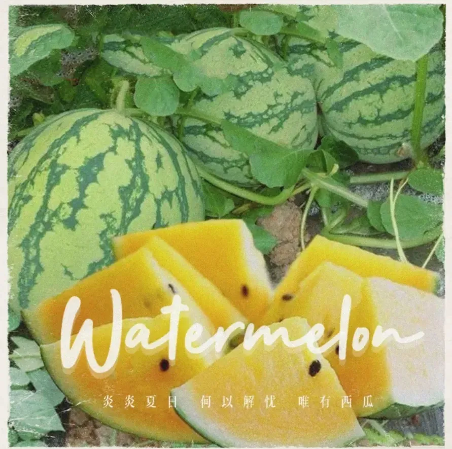 ebfc078dc54f630a482003f15046864c-sz_2015632-1 ebfc078dc54f630a482003f15046864c-sz_2015632-1