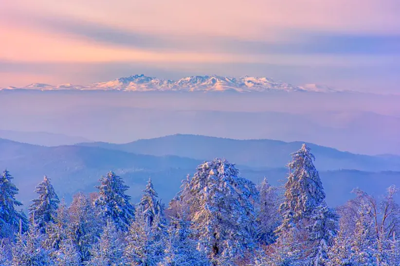 ec10f2ca583e1cbe31c204058d5fa93c-sz_636662 ec10f2ca583e1cbe31c204058d5fa93c-sz_636662