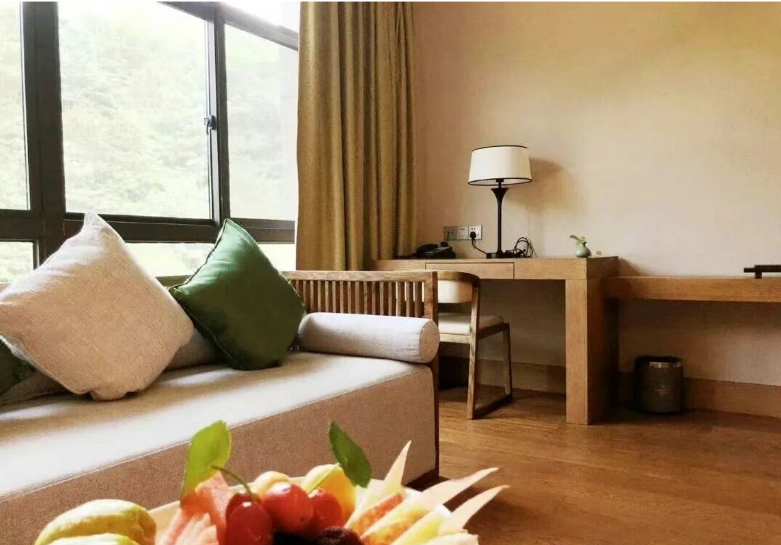 ed23afff372050052ff08d5c72888dec