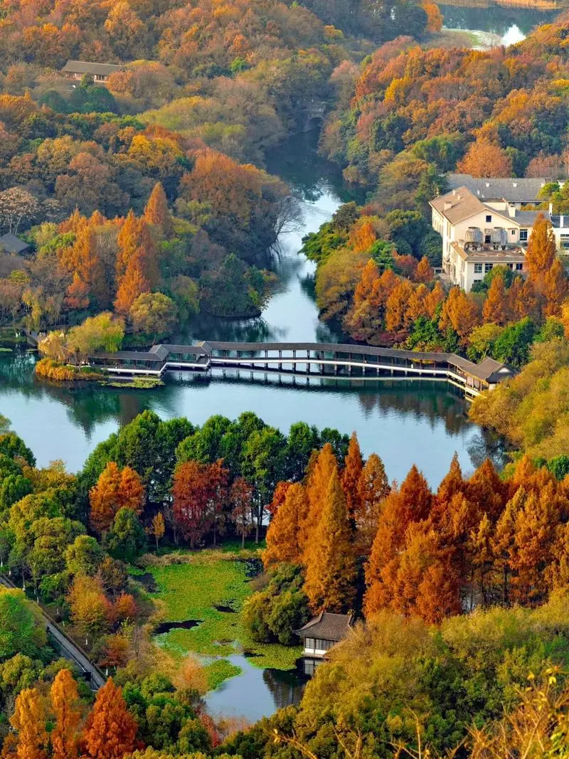 edaa54b90770d92fced44aa2793f157d-sz_218884-3 edaa54b90770d92fced44aa2793f157d-sz_218884-3