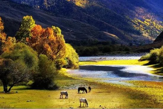 ee0e3f95447cd105f3babea20ad4aaea-sz_43479 ee0e3f95447cd105f3babea20ad4aaea-sz_43479