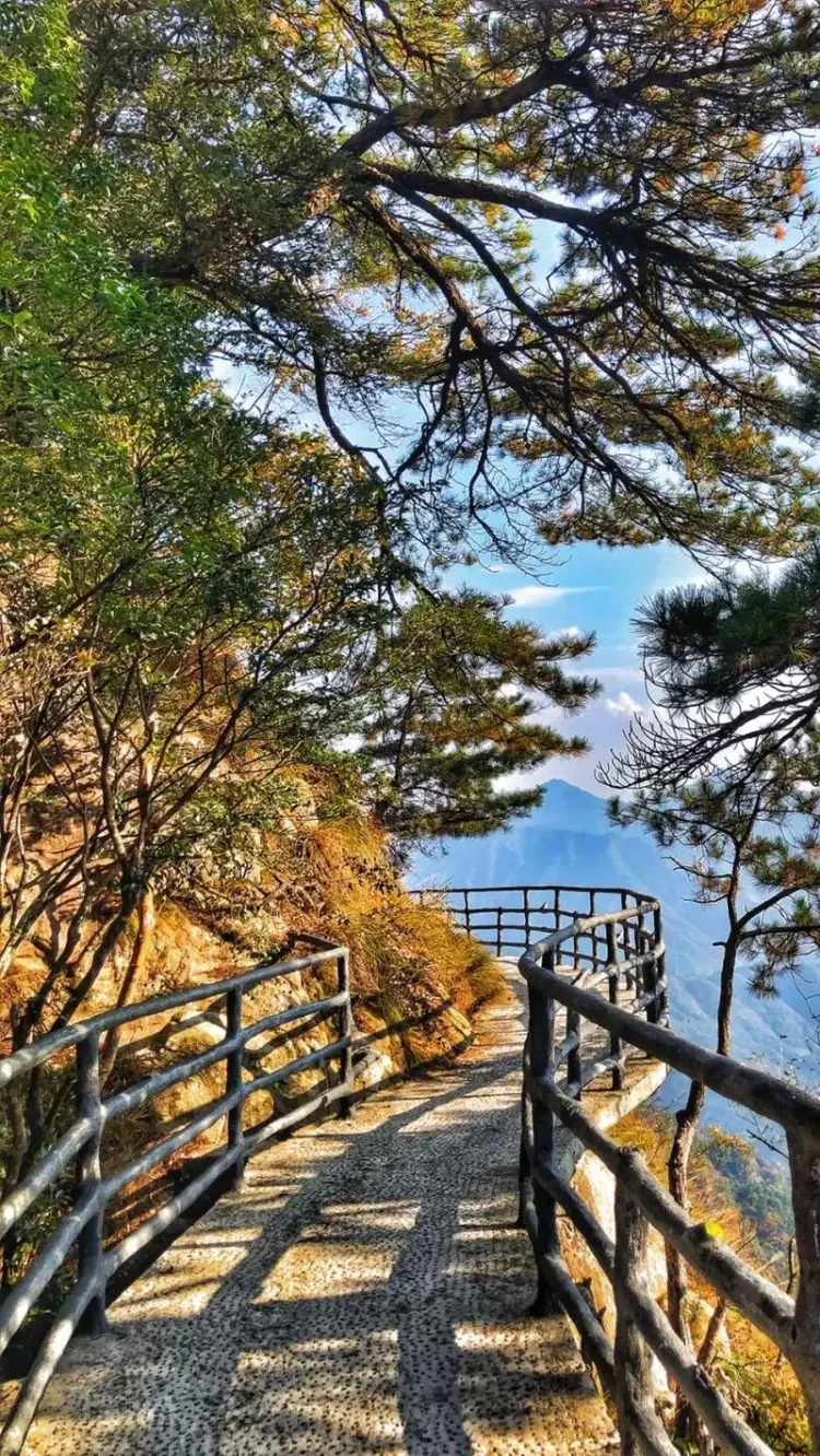挺近大别山◆邂逅明堂山◆又见红叶！【安庆岳西·纯玩5日599】连住3晚千米景区酒店◆4早6正◆明堂山主峰1563米+胡芦河大峡谷+大通古镇◆超值索道+景交玻璃桥+玻璃栈道！