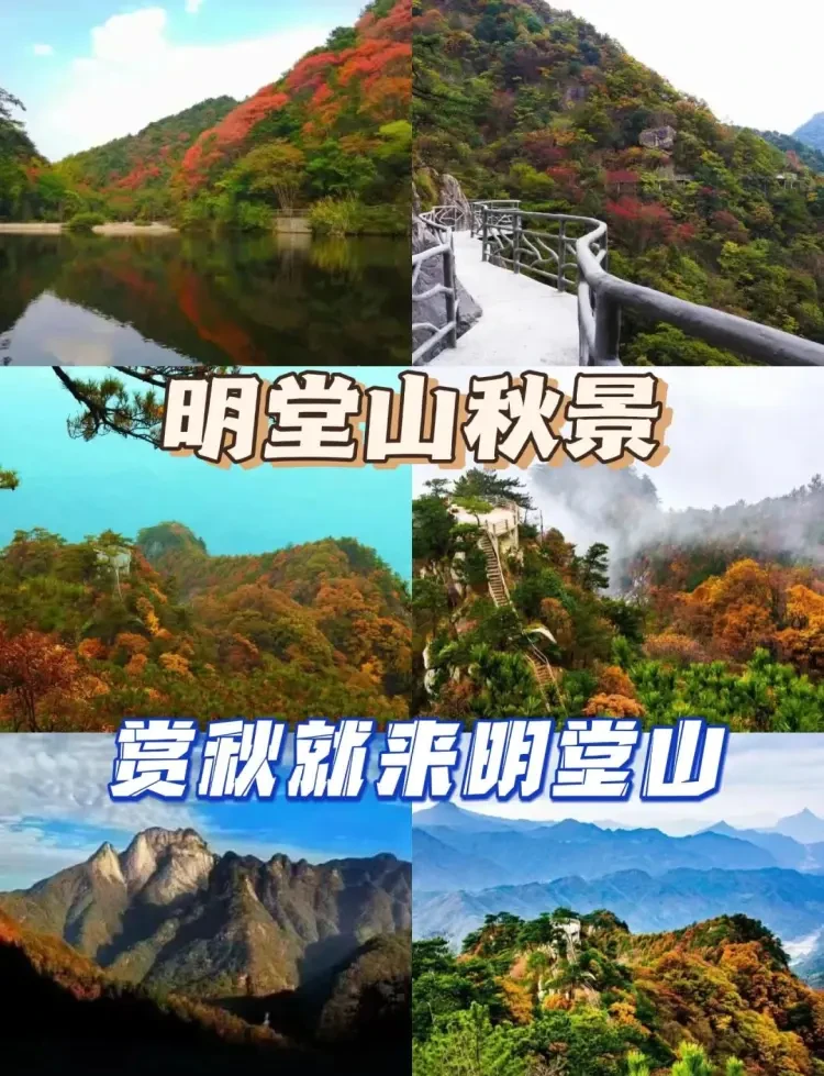 f0c5e7e6c71ae9a92e439e09903c8a0e-sz_250426-2