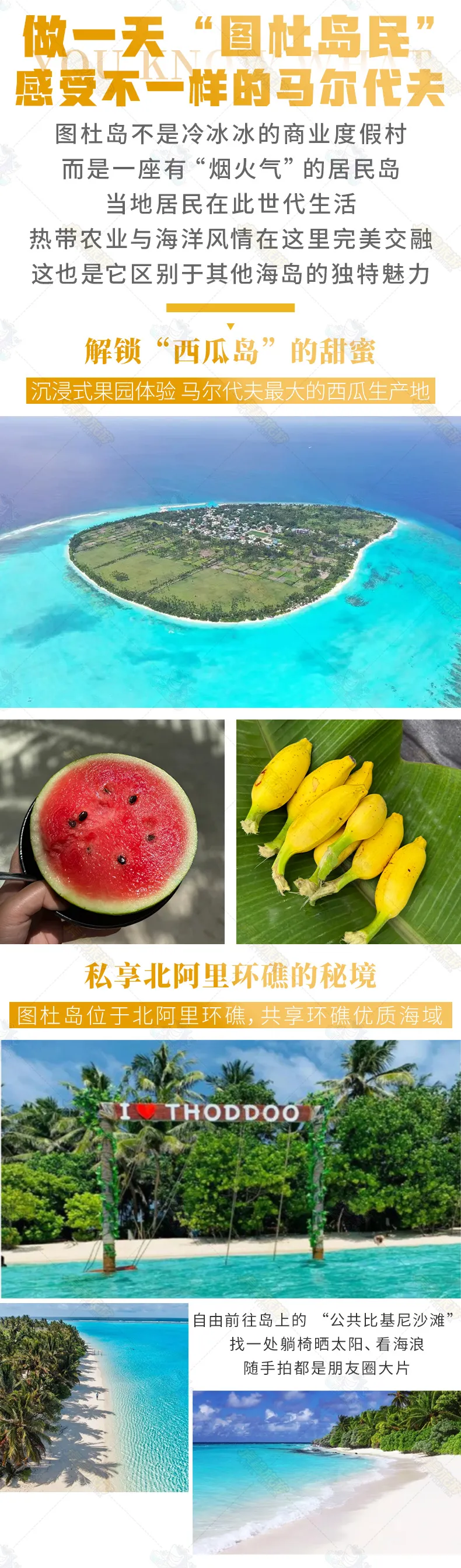 f0ca32a8a46e21c928fc5049b836132d-sz_812810