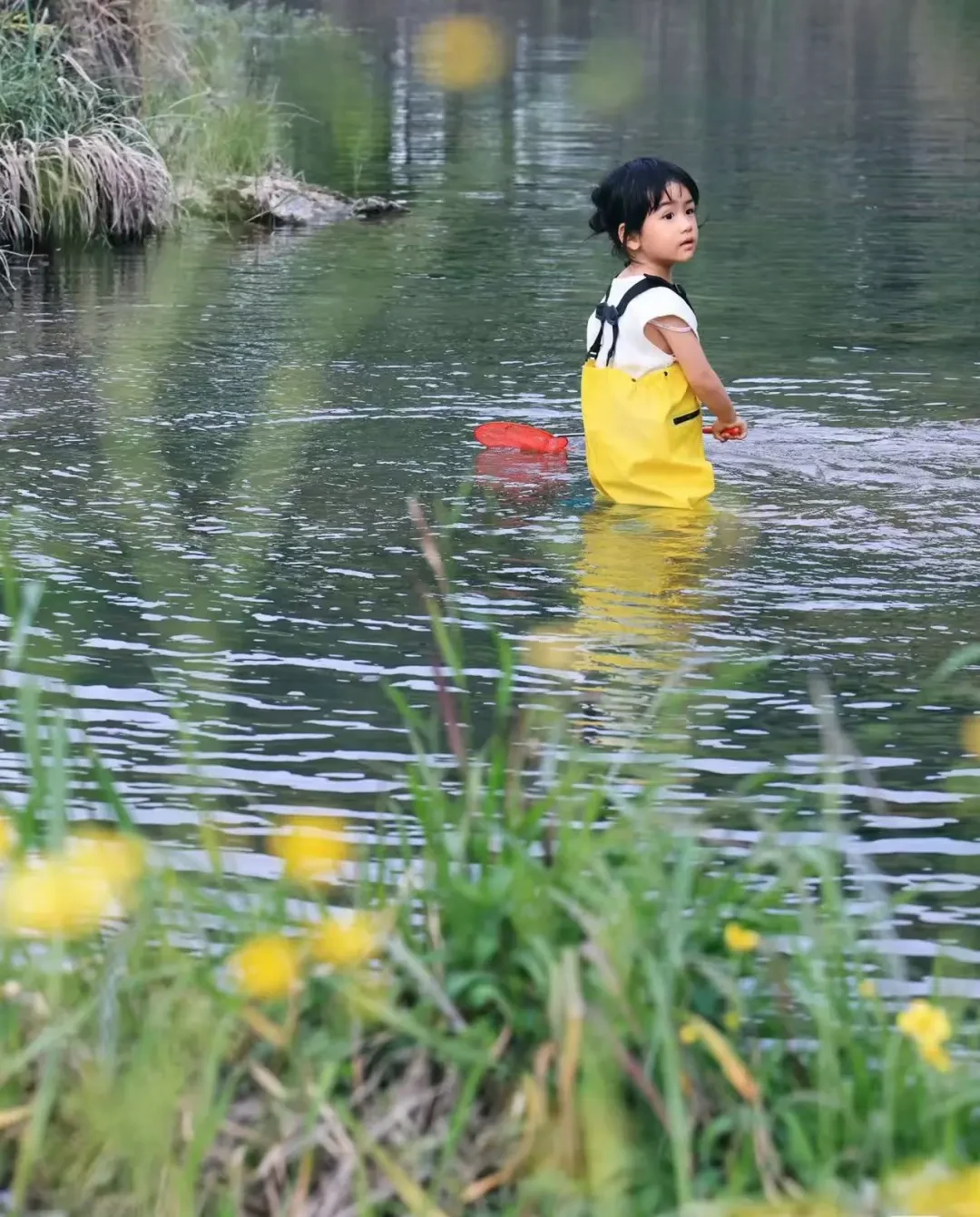 f1474fcdd5aadc4feca8dfdf1e425d05-sz_301291 f1474fcdd5aadc4feca8dfdf1e425d05-sz_301291