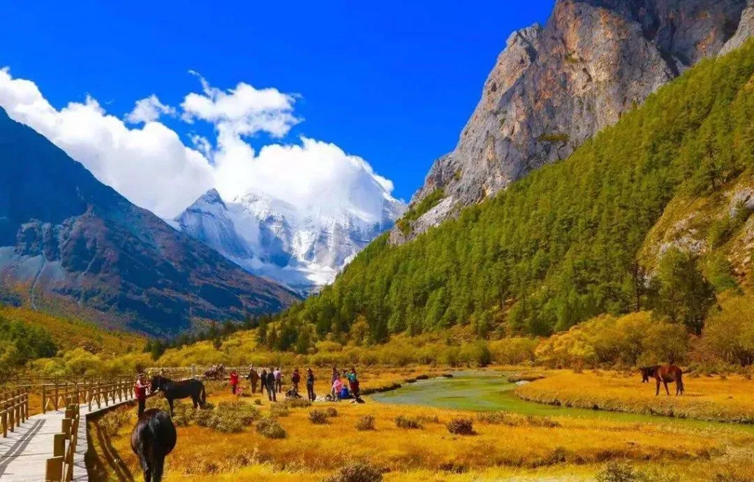 f1626deb5108217036362e8f244570f4-sz_1780396 f1626deb5108217036362e8f244570f4-sz_1780396