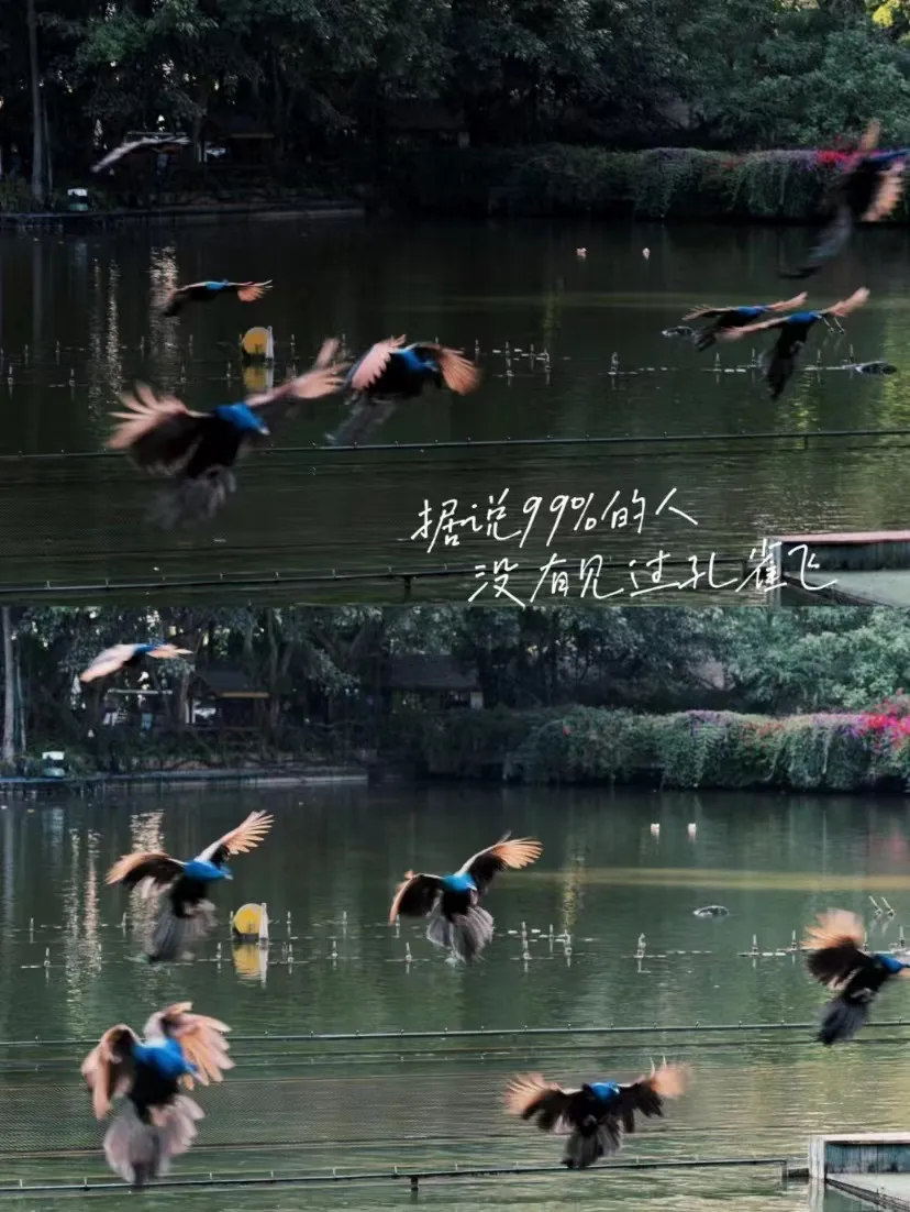 f48d1dd3763cea73cb5552af2f1bf375-sz_221983