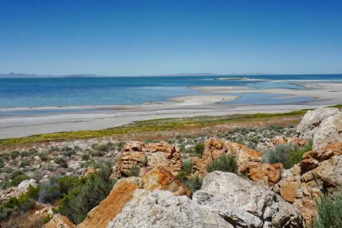 f5a96c0a670de61eb56fce9f7b2887d9-sz_77147