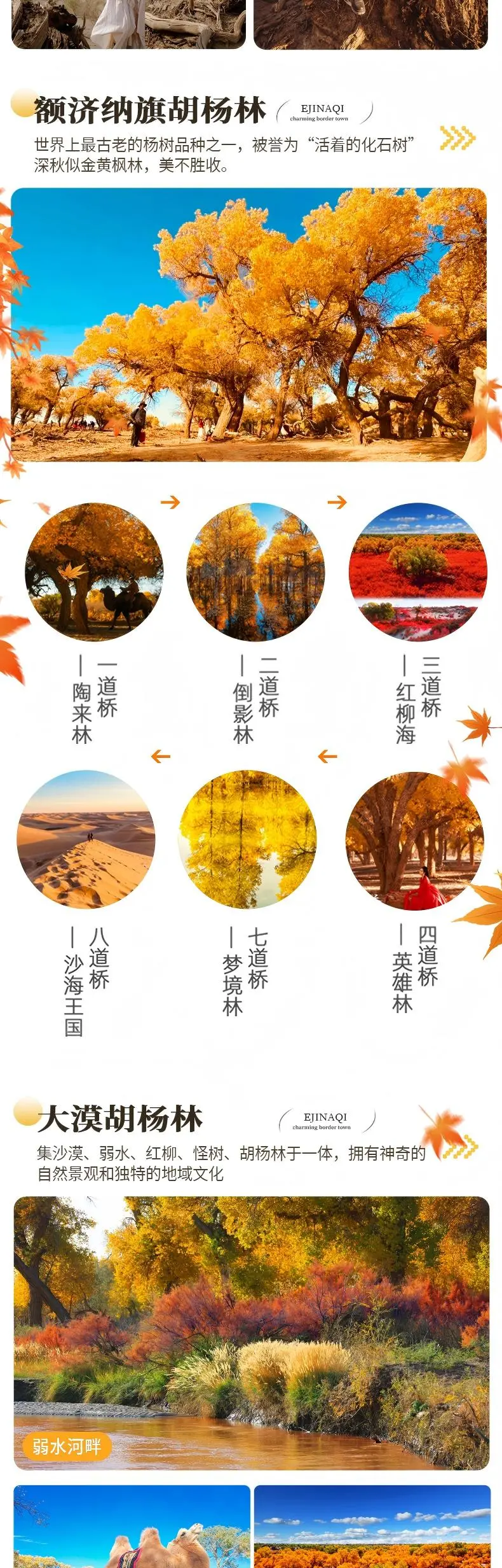 f8ade8c98ee8bf502871b4013a0fe567-sz_380159-1