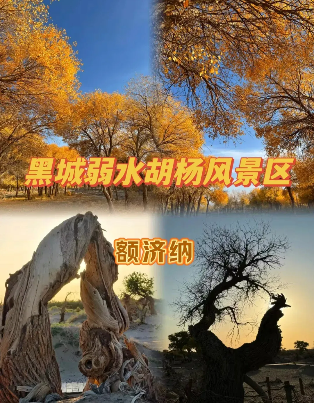 f8bb10c86cb85f412b72d877b4e393dd-sz_3286280