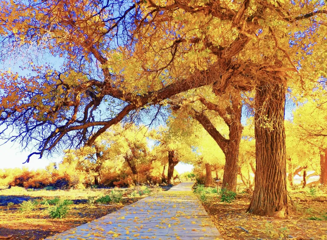 fa24def0f7cfa44d3e15bc6169dac689-sz_673908 fa24def0f7cfa44d3e15bc6169dac689-sz_673908