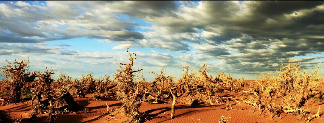 fbe7e31d40d835166f72e379a1fbed49-sz_399626-1 fbe7e31d40d835166f72e379a1fbed49-sz_399626-1