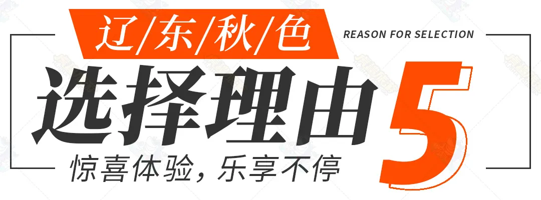 fe2a76910824fe7d6250d421357a169f-sz_115127-1