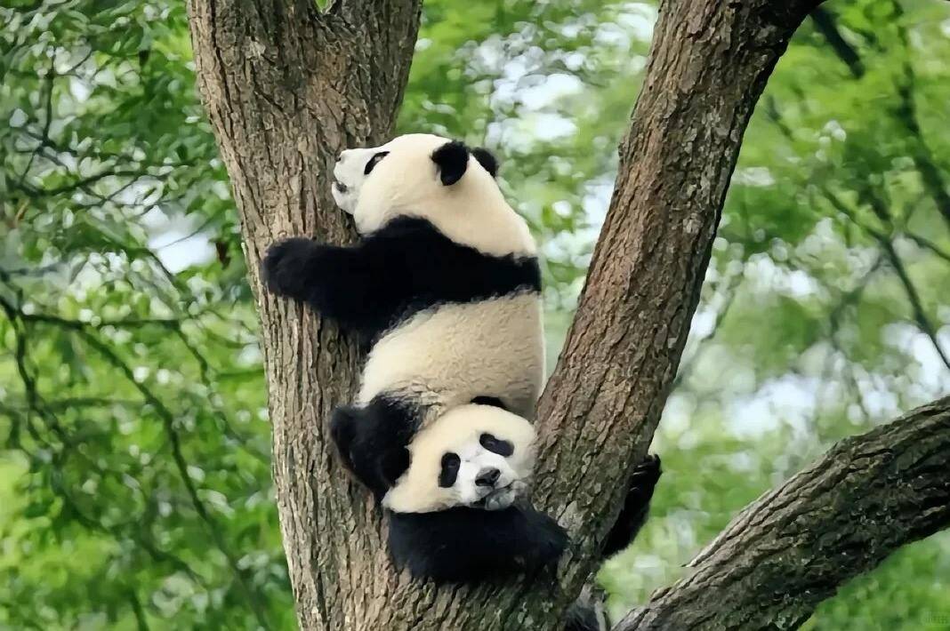 lRjBkJegRNMvFjJT