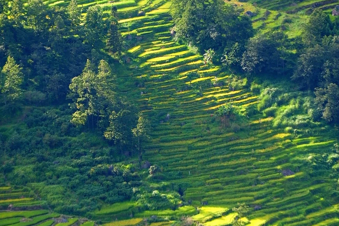 00000000ASASpOsLUlMJIpyh 00000000ASASpOsLUlMJIpyh