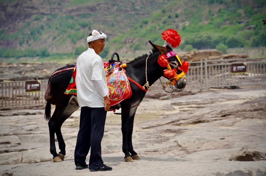 00000000AfCuFQzHVdNOfxWk 00000000AfCuFQzHVdNOfxWk