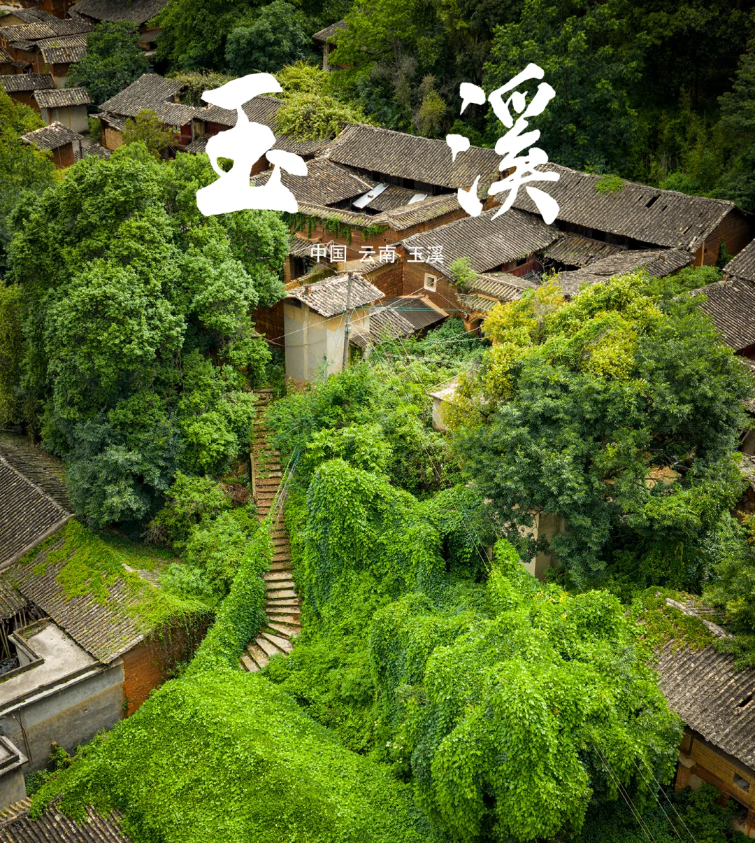 00000000DuFVmDKgQHqGLuQS 00000000DuFVmDKgQHqGLuQS