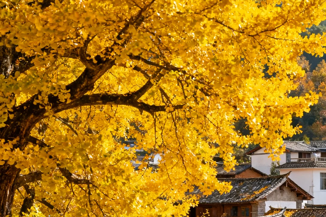 00000000EawGJcBkFdsREtgb 00000000EawGJcBkFdsREtgb