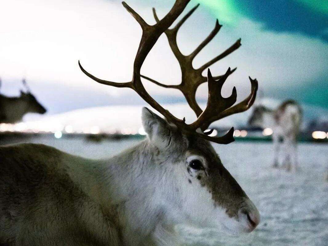 00000000GxXHGWXpomnxkVNm 00000000GxXHGWXpomnxkVNm