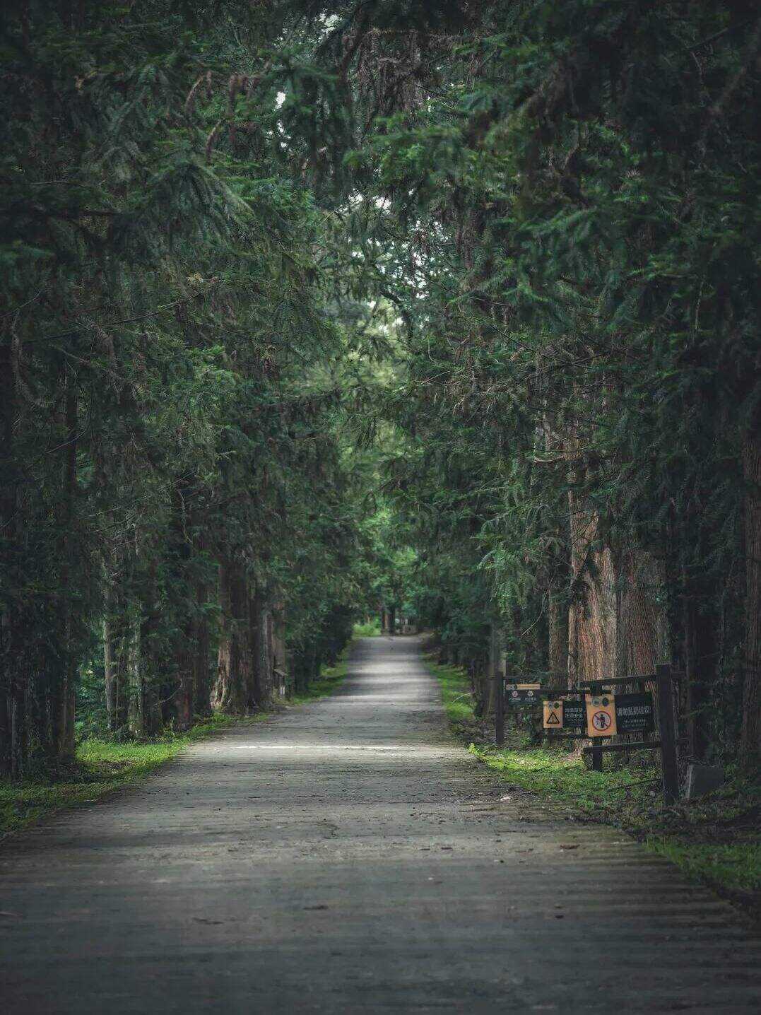 00000000IDysYqHUGZruekGy