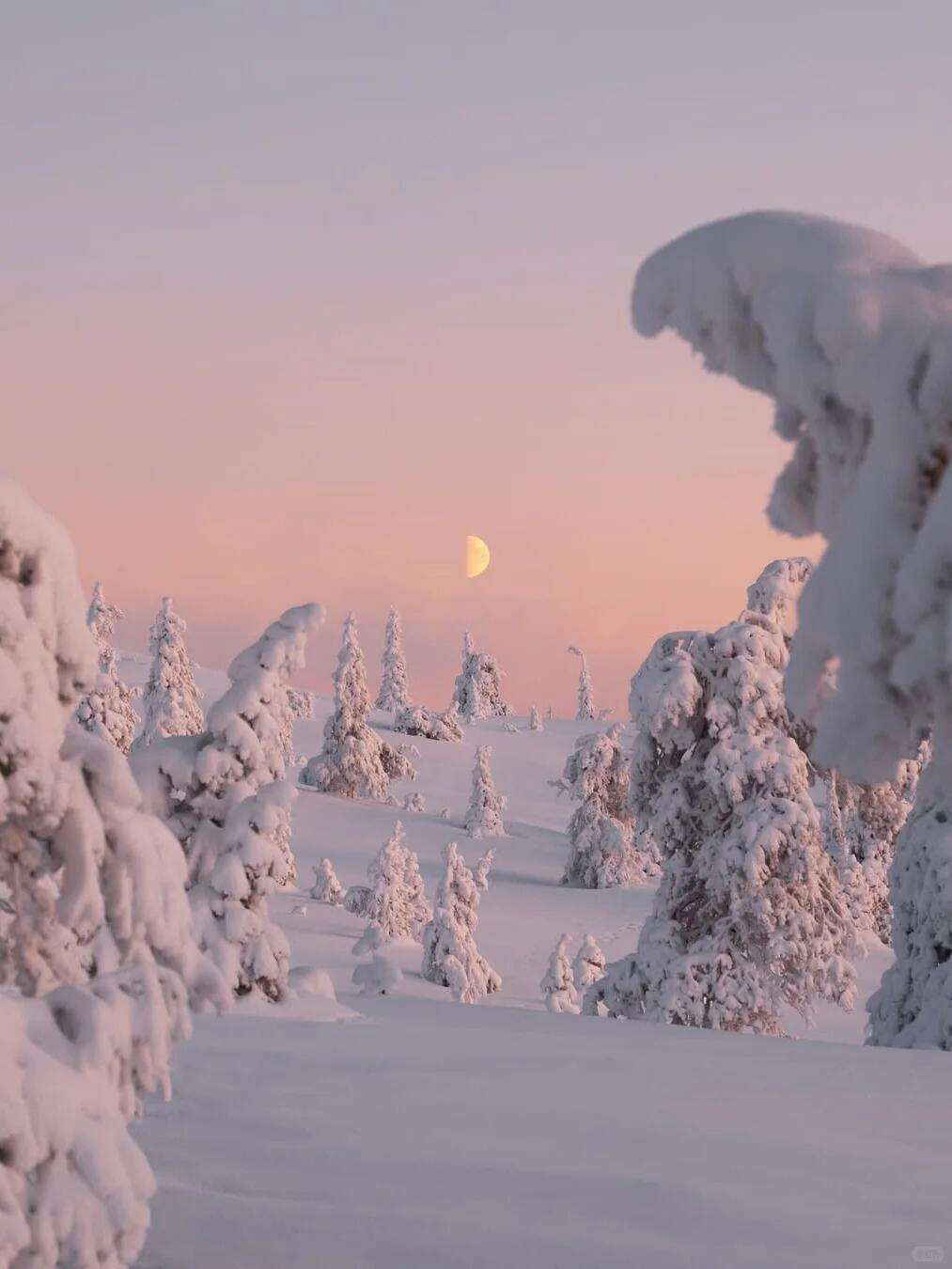 00000000IZuLChWPjZRCGLuV 00000000IZuLChWPjZRCGLuV