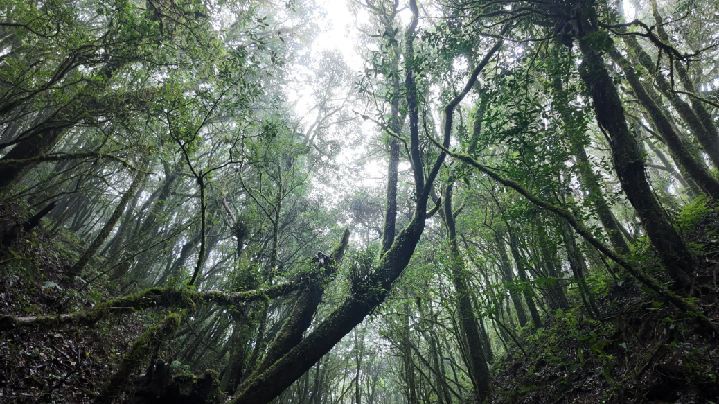 00000000JLDzwtwZaAHPOLiU 00000000JLDzwtwZaAHPOLiU