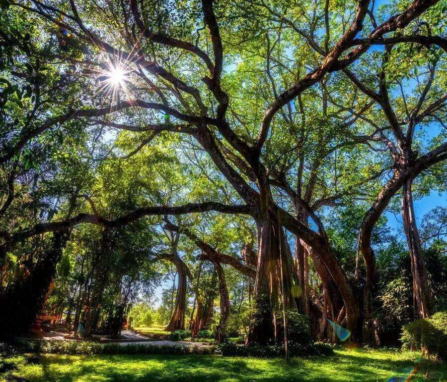 00000000KhPNlXbOyGaDIgrE