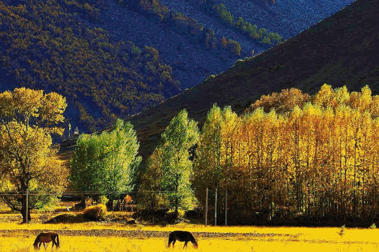 00000000LAsRWhFasuXqlQOh 00000000LAsRWhFasuXqlQOh