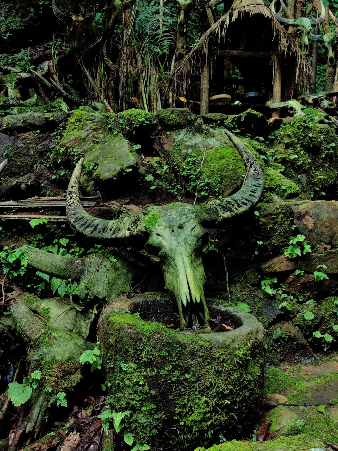 00000000LGcOHBoKpQkeMFeX