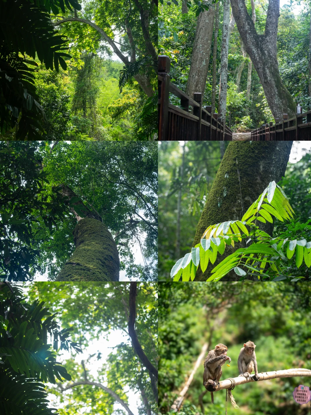 00000000LqefhnXIoQyOraNF