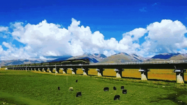 00000000LtRoOJBTfZfbbqvv 00000000LtRoOJBTfZfbbqvv