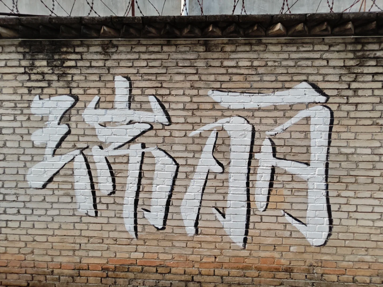 00000000MYOKuzdPFMVYULZt 00000000MYOKuzdPFMVYULZt