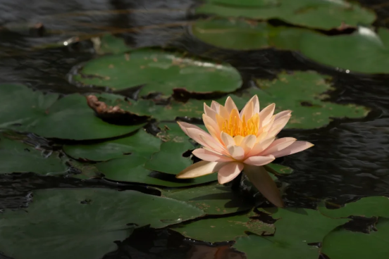 00000000NBnFwyWdMjIEwjBh 00000000NBnFwyWdMjIEwjBh