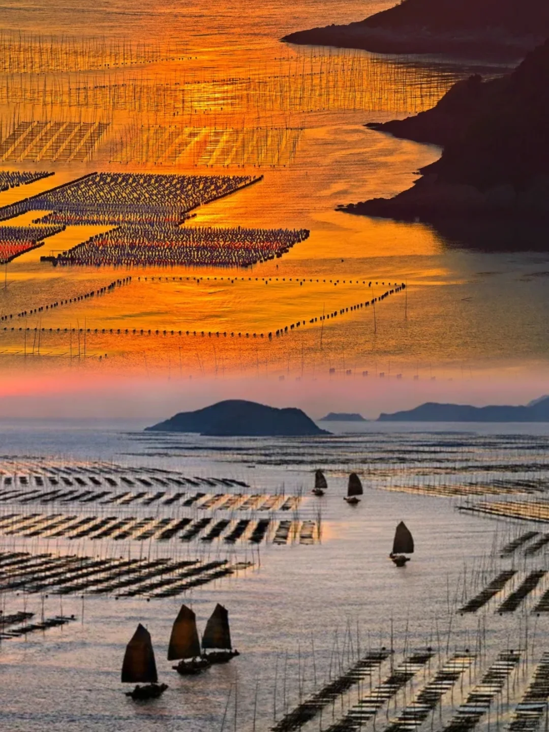 00000000NCuNiwqBbnpXFEmQ